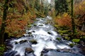 McDowell Creek in Oregon