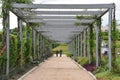 McGovern Centennial Gardens at Hermann Park in Houston, Texas