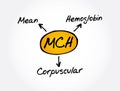 MCH - Mean Corpuscular Hemoglobin acronym, medical concept