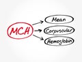 MCH - Mean Corpuscular Hemoglobin acronym Royalty Free Stock Photo