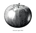 Mcintosh apple hand draw vintage clip art isolated on white back Royalty Free Stock Photo