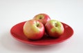 McIntosh Apples on Red Plate Royalty Free Stock Photo