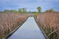 McKay Overlook and Nature Trail - Saint Charles, IL Royalty Free Stock Photo