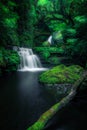 McLean Falls, Catlins Conservation Park, New Zealand Royalty Free Stock Photo