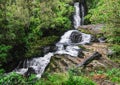 Mclean Falls in New Zealand