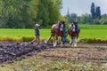 Two women guide a plow pulled by draft horses Royalty Free Stock Photo