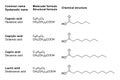 Medium-chain fatty acids, MCFAs, chemical structures