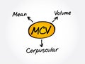 MCV - Mean Corpuscular Volume acronym, medical concept