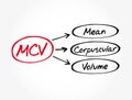 MCV - Mean Corpuscular Volume acronym Royalty Free Stock Photo