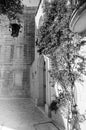 Mdina courtyard, black and white
