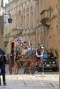 A horse-drawn cart on the street of ancient Mdina