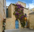 Mdina, Malta: traditional Maltese limestone house with bright purple flowers Royalty Free Stock Photo