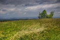 Meadow Royalty Free Stock Photo