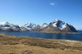 Meadow above Napp fjord Royalty Free Stock Photo