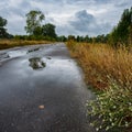 Meadow and asphalt road after rain in the meadow Royalty Free Stock Photo