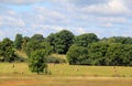 Meadow with bales of hay in rural countryside Royalty Free Stock Photo