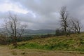 Meadow with bare trees and foggy spruce forest and mountians on Montpelier hill, Dublin