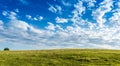 Meadow with beautiful blue sky background with copy space Royalty Free Stock Photo