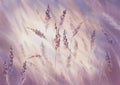 a meadow of bents in violet watercolor background