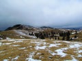 Meadow at Big Pature Plateau or Velika planina Royalty Free Stock Photo