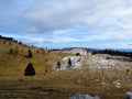 Meadow at Big Pature Plateau Royalty Free Stock Photo