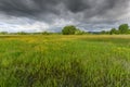 Meadow in bloom flooded in cloudy weather in spring