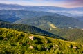 Meadow with boulders in Carpathian mountains in summer Royalty Free Stock Photo