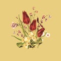 Meadow bouquet flowers. Floral illustration for compliments. Retro version.