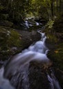 Meadow branch cascades waterfalls in the smoky mountain national park near Townsend Tennessee Royalty Free Stock Photo