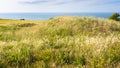 meadow on Cap Gris-Nez in France Royalty Free Stock Photo