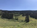 Meadow - Colorado - Million Dollar Highway - Rocky Mountains Royalty Free Stock Photo