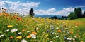 Meadow of colorful flowers in summer, seen from below, wildflowers, vibrant colors, warm tones created with ai Royalty Free Stock Photo