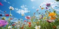 Meadow of colorful flowers in summer, seen from below, wildflowers, vibrant colors, warm tones created with ai Royalty Free Stock Photo