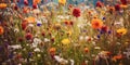 Meadow of colorful flowers in summer, seen from below, wildflowers, vibrant colors, warm tones created with ai Royalty Free Stock Photo