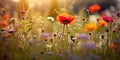 Meadow of colorful flowers in summer, seen from below, wildflowers, vibrant colors, warm tones created with ai Royalty Free Stock Photo