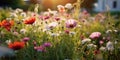 Meadow of colorful flowers in summer, seen from below, wildflowers, vibrant colors, warm tones created with ai Royalty Free Stock Photo