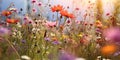 Meadow of colorful flowers in summer, seen from below, wildflowers, vibrant colors, warm tones created with ai Royalty Free Stock Photo