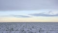 Winter evening sky over a meaod with snow Flemish countryside Royalty Free Stock Photo