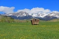 Meadow and Crazy Mountains (2) Royalty Free Stock Photo