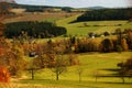 Meadow of Czech landscape