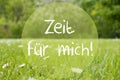 Meadow, Daisy Flowers, Zeit Fuer Mich Means Time For Me Royalty Free Stock Photo