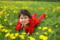 Meadow and dandelions.