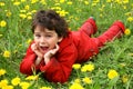 Meadow and dandelions.