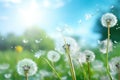 Meadow with dandelions in soft green tones, abstract background, AI generative content Royalty Free Stock Photo