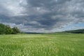 Meadow and the dark dramatic rain clouds