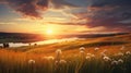 a meadow dominated by the gentle sway of wheatgrass, illuminated by the soft rays of the setting sun