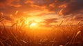 a meadow dominated by the gentle sway of wheatgrass, illuminated by the soft rays of the setting sun