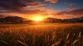 a meadow dominated by the gentle sway of wheatgrass, illuminated by the soft rays of the setting sun