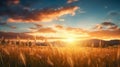 a meadow dominated by the gentle sway of wheatgrass, illuminated by the soft rays of the setting sun