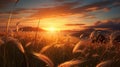 a meadow dominated by the gentle sway of wheatgrass, illuminated by the soft rays of the setting sun